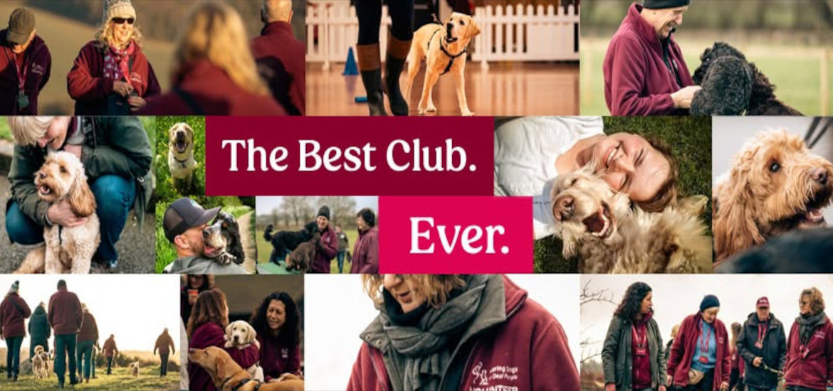 Hearing Dogs For Deaf People